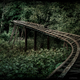 Illustration for article titled Berlin's Abandoned Spreepark Is Where Fun Goes To Die